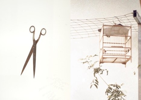 &copy; (c) Pauline Kail und Phuong Linh Pham