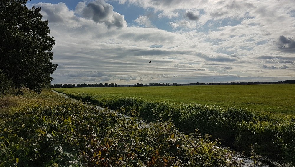 Szerokość Lewitza, © Verein Lewitz e.V. Szerokość Lewitza, © Verein Lewitz e.V.