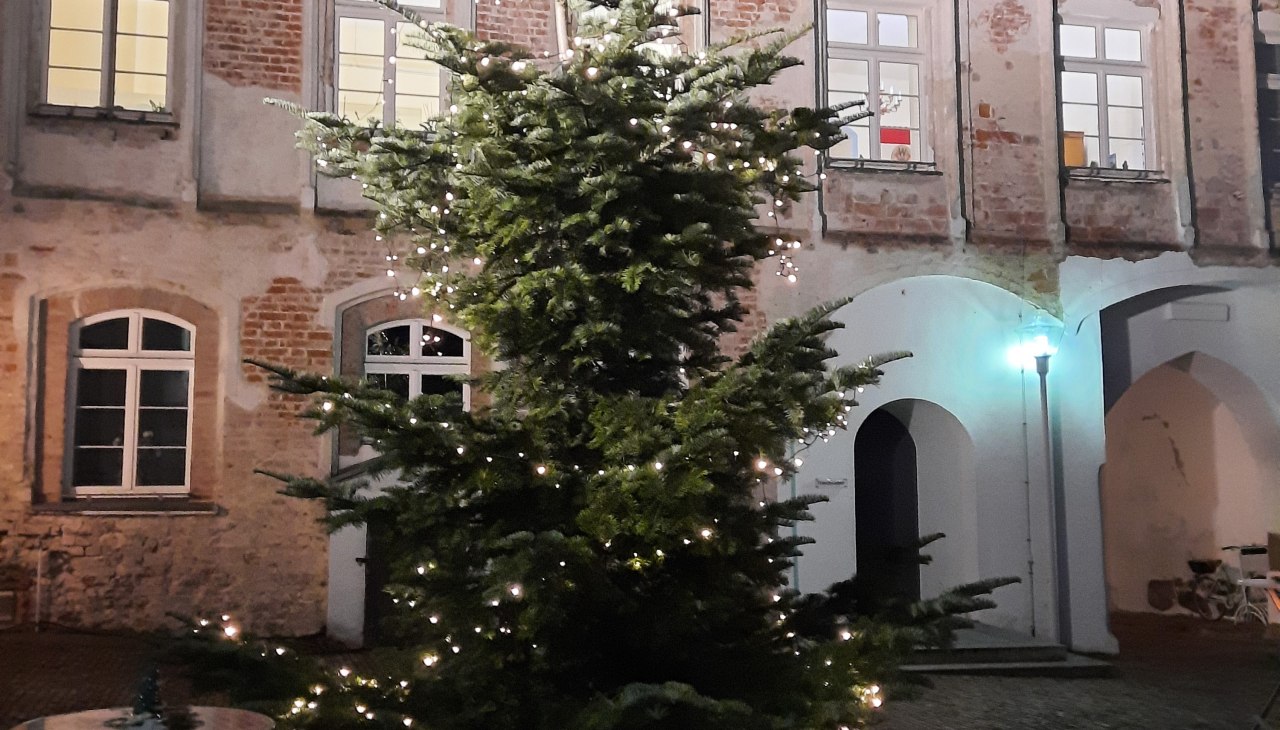 20231214_163339, © Uta Sommer 20231214_163339, © Uta Sommer