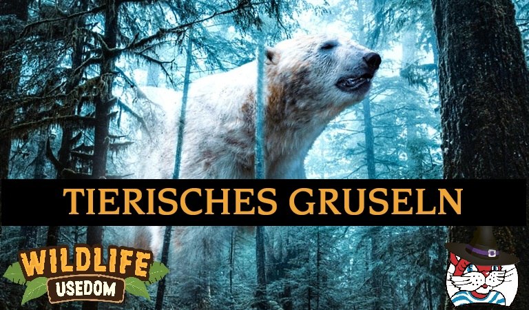 © tierisches_gruseln_co_pixabay.jpg