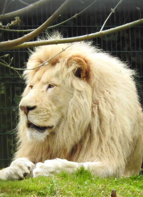 20250412_130, © Hansestadt Stralsund