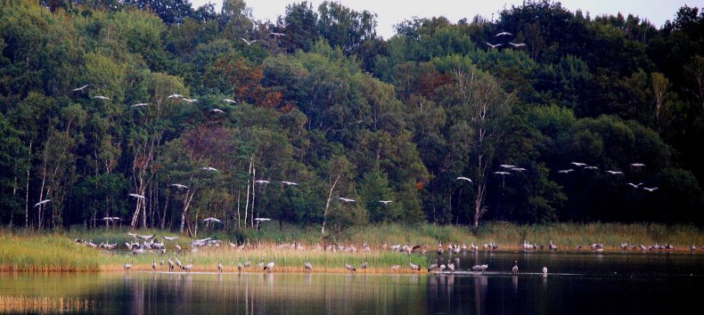 &copy; Reinhard Sobiech