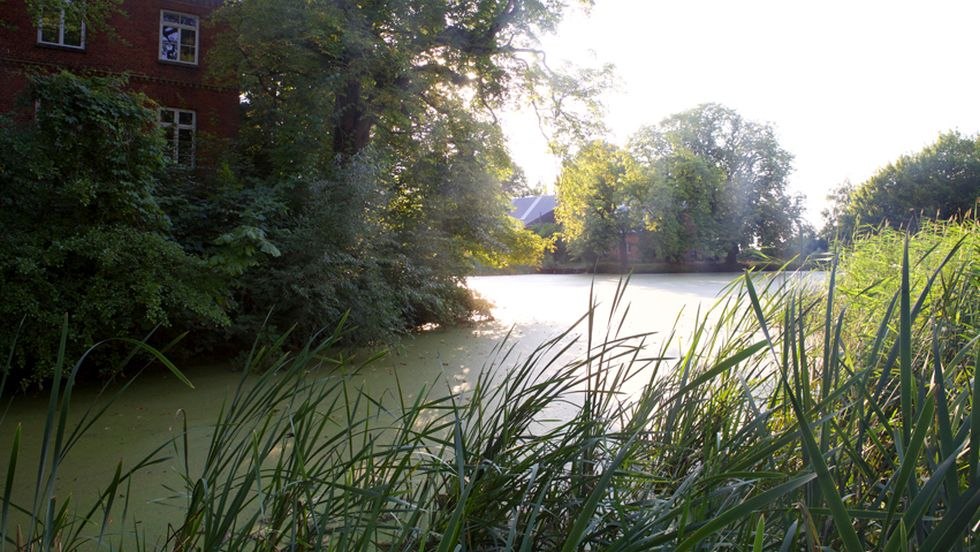 Lake, &copy; Antonia Jacobsen