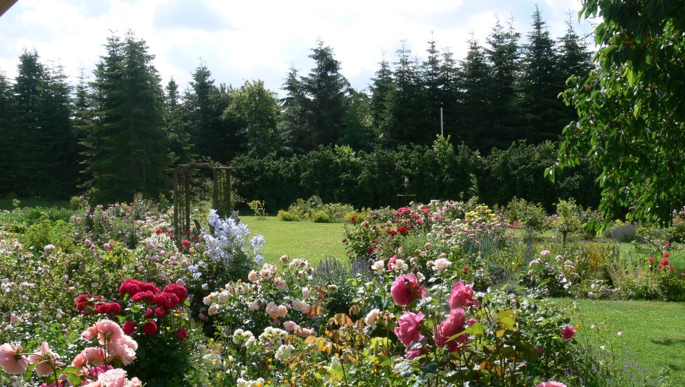 A view of the rose garden // &copy; Rosentau-Keramik/Rehfeld