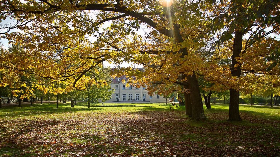 Herbstliches Farbenmeer im Schlosspark, © Park Hotel Schloss Rattey