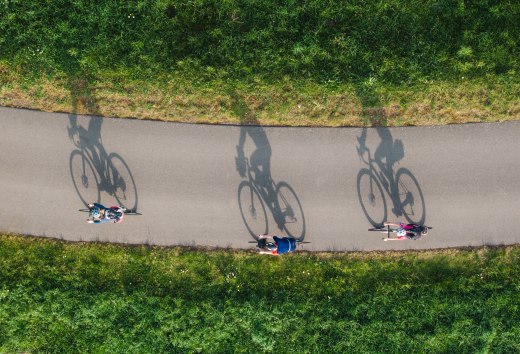 Three cyclists on a gravel bike tour through the Peene valley near Dargun, surrounded by lush greenery and bright sunshine.