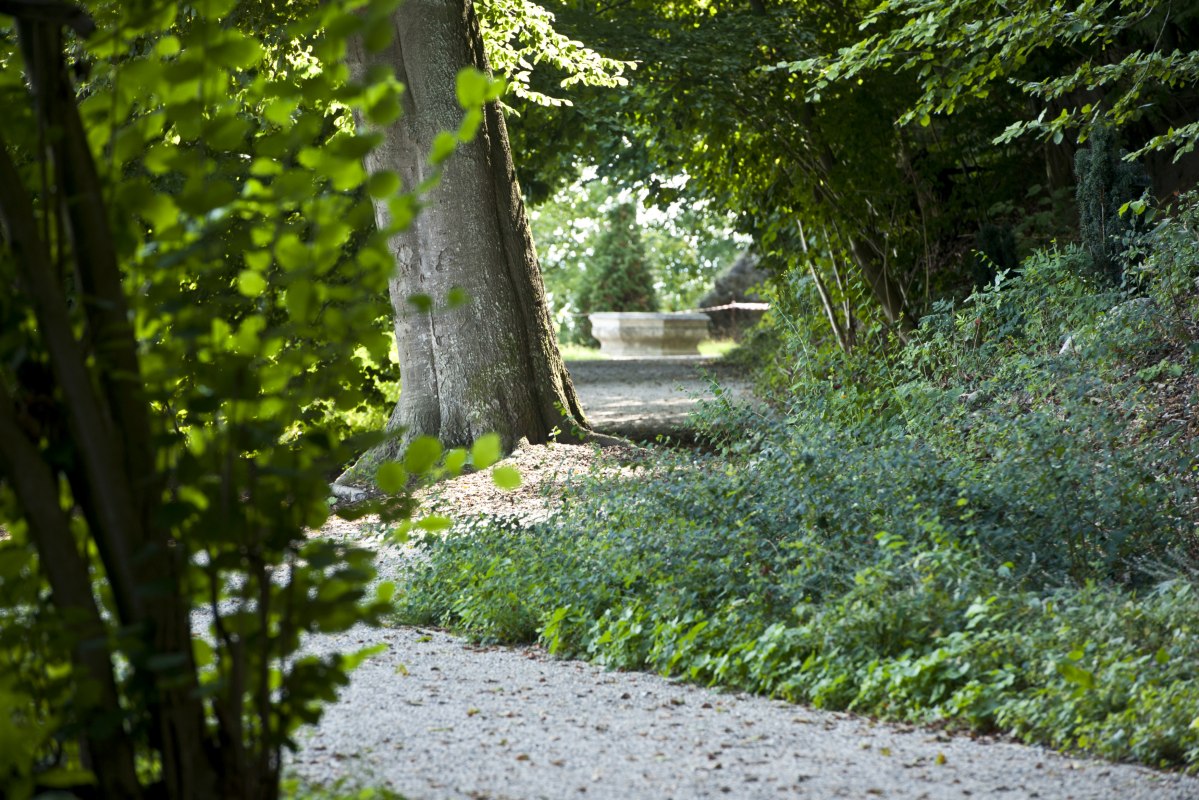 Park around Wiligrad Castle on the steep coast of Lake Schwerin // © SSGK MV / Jörn Lehmann Park around Wiligrad Castle on the steep coast of Lake Schwerin // © SSGK MV / Jörn Lehmann