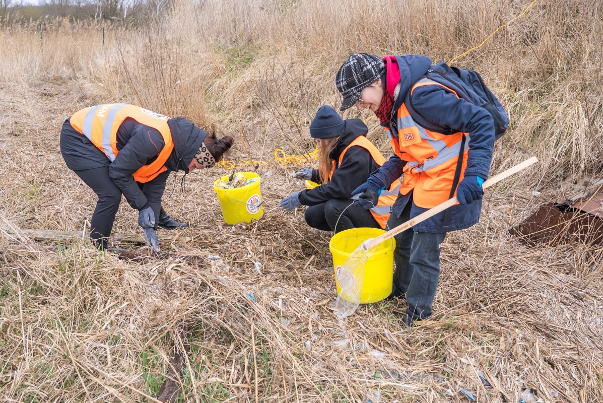 Helpers collect small pieces of plastic from the reeds, &copy; Rostock M&uuml;llfrei e.V.