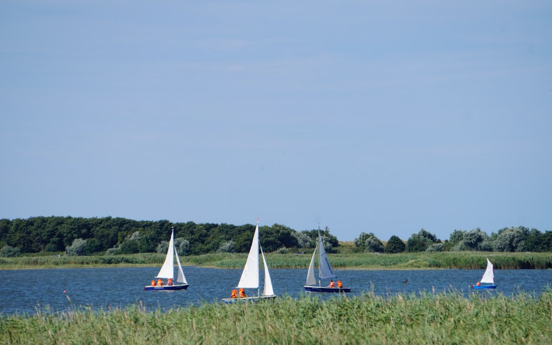 Fischland Sailing School, © Cindy Wohlrab / KVW Wustrow