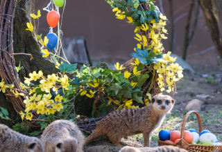 © Zoo Schwerin © Zoo Schwerin