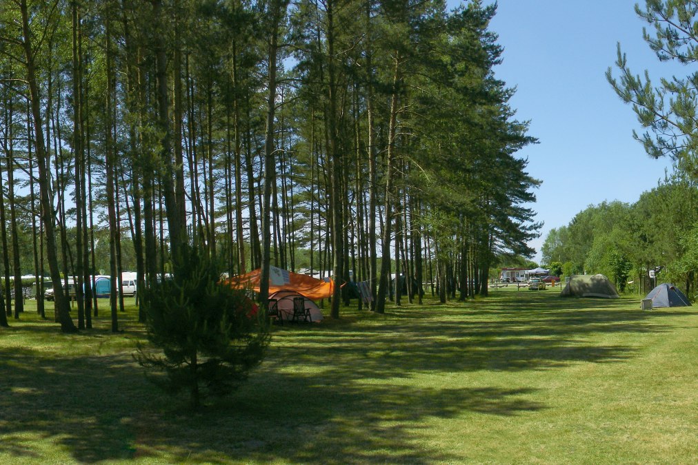 Zicht op het tentengebied, &copy; Camping in Neuhaus