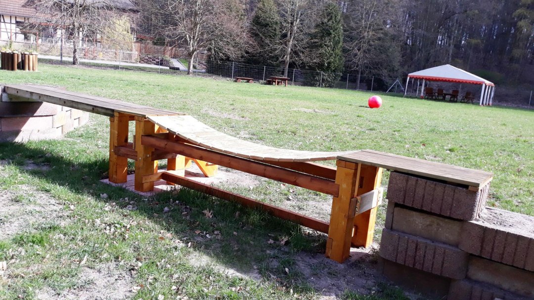 Plac zabaw dla psów Dat Waldhus, © Page Dat Waldhus