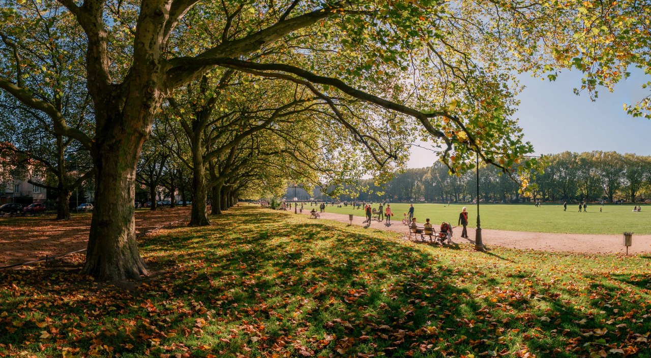 Green area &bdquo;Jasne Błonia im. Jana Pawła II&rdquo;, &copy; Pomorze Zachodnie