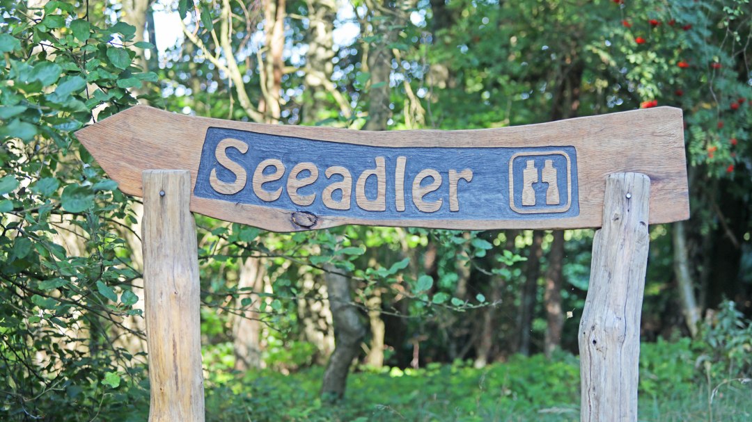 Platforma widokowa Seeadler_1, © TMV/Gohlke