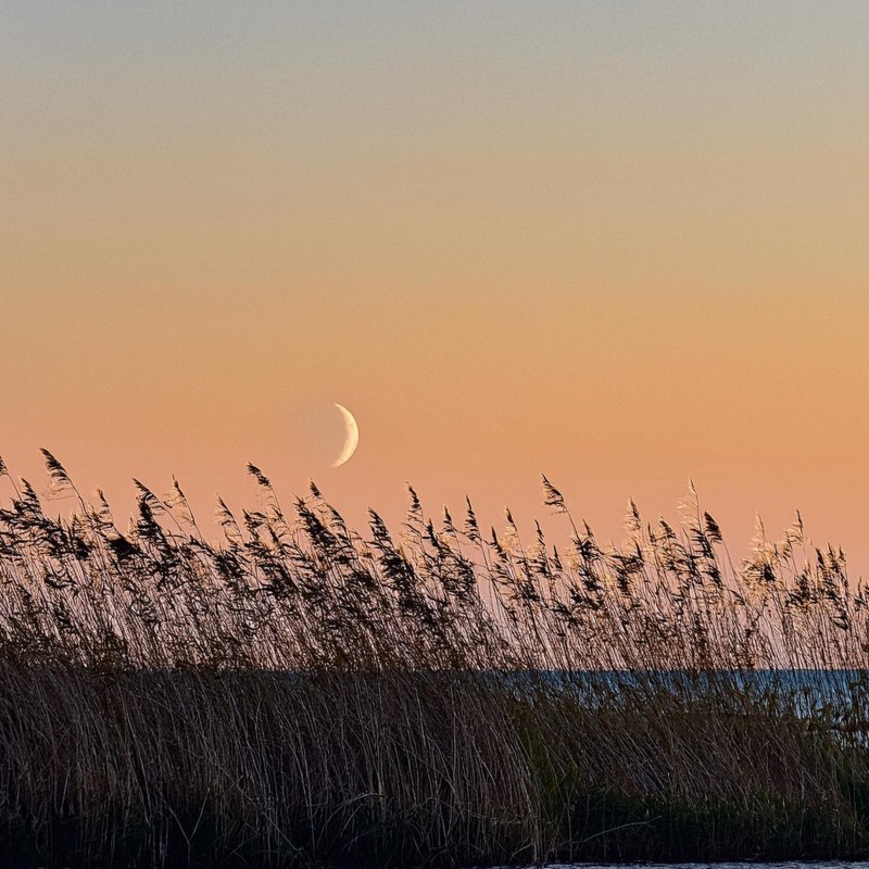 &copy; Kurverwaltung M&ouml;nchgut