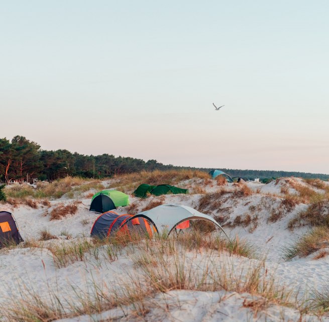 Tents are pitched between sand dunes and coastal forest at Ahoi Camp Darß on the Baltic Sea at sunset.