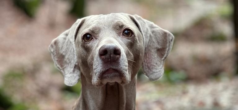 © Erlebnis Akademie AG/NEZR © Erlebnis Akademie AG/NEZR