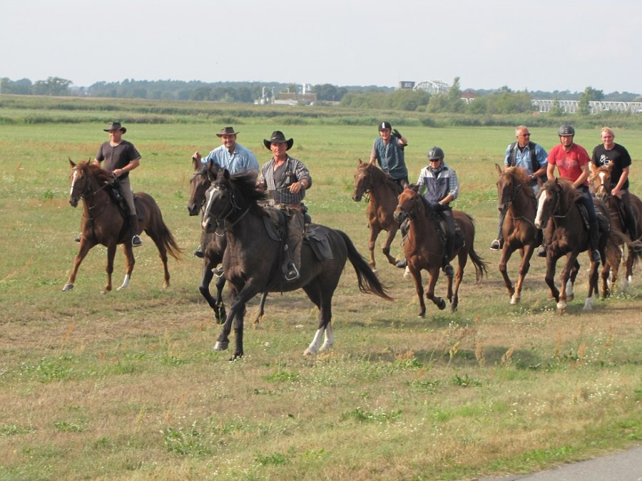 Nasze przejażdżki prowadzą obok klifów, przez łąki, a poza sezonem na plażę., © Juliana Völkner