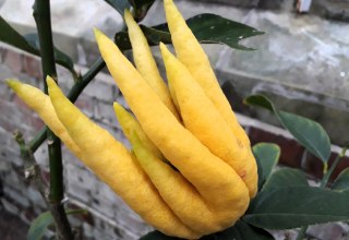 &copy; Angela Pfennig