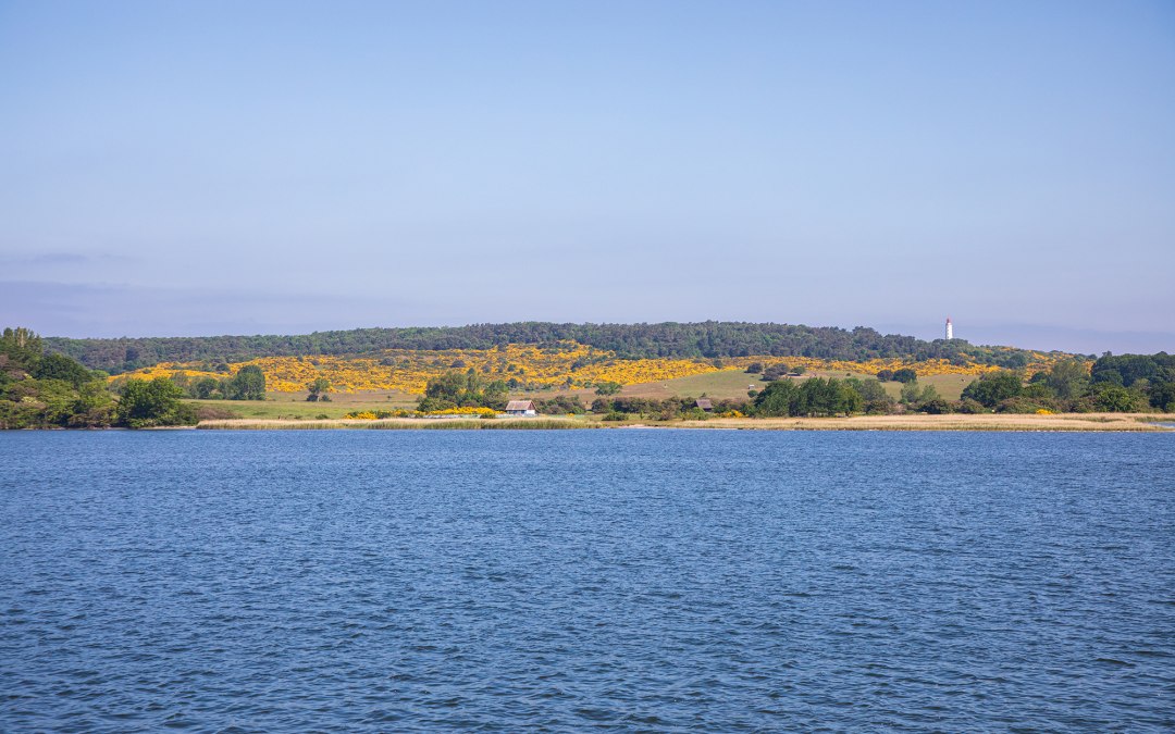 Reederei-Zingst-Insel-Hiddensee-002-1, © Weiße Flotte GmbH