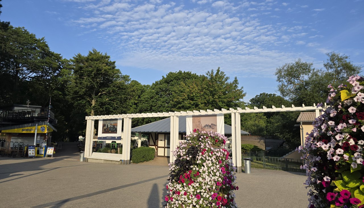 &copy; 20250807_073424.jpg