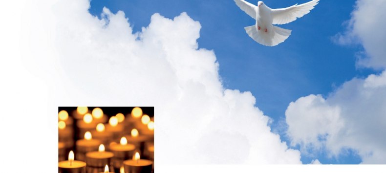 © Stadt Ribnitz-Damgarten © Stadt Ribnitz-Damgarten