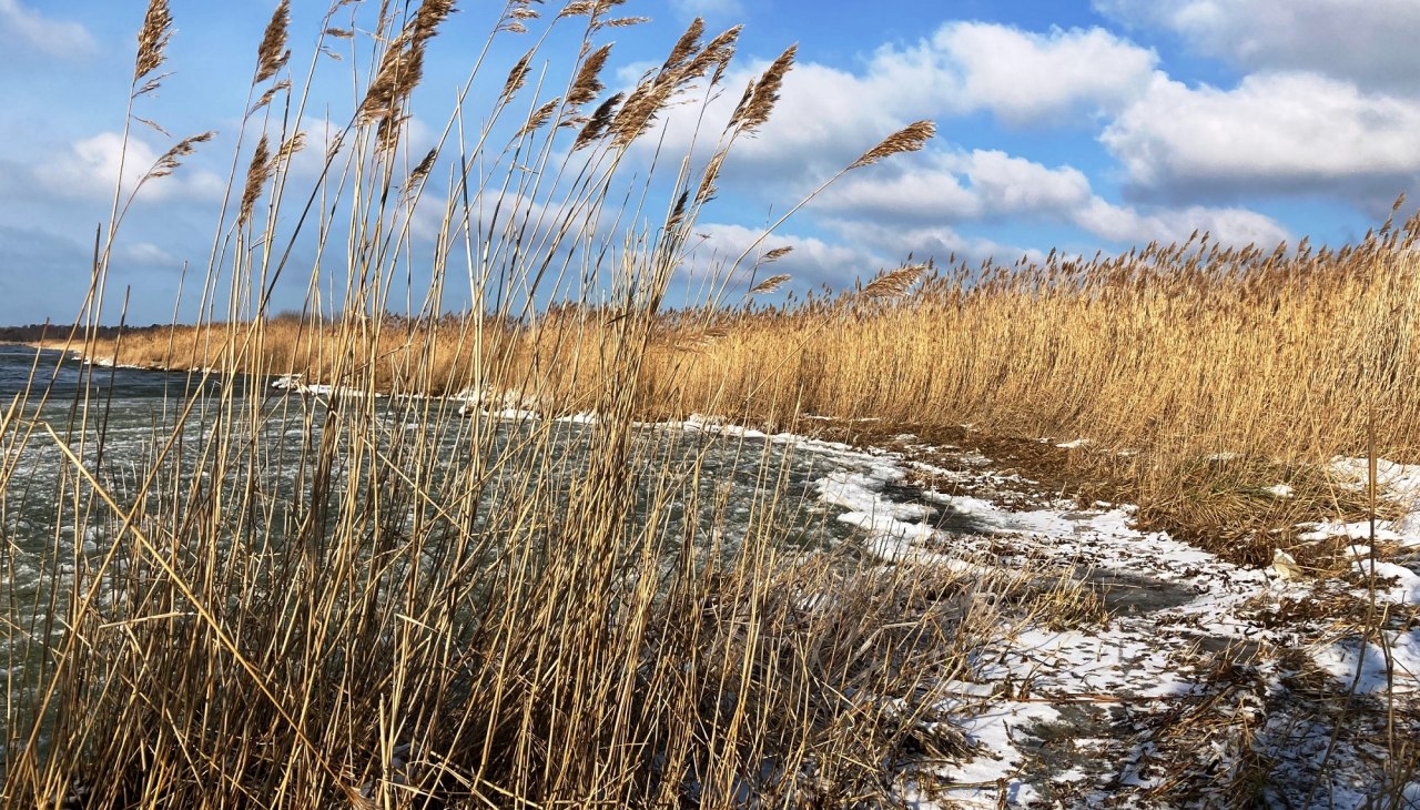 Bodden shore in winter, &copy; K. B&auml;rwald