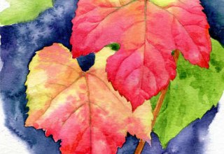 &copy; Jenny Thalheim