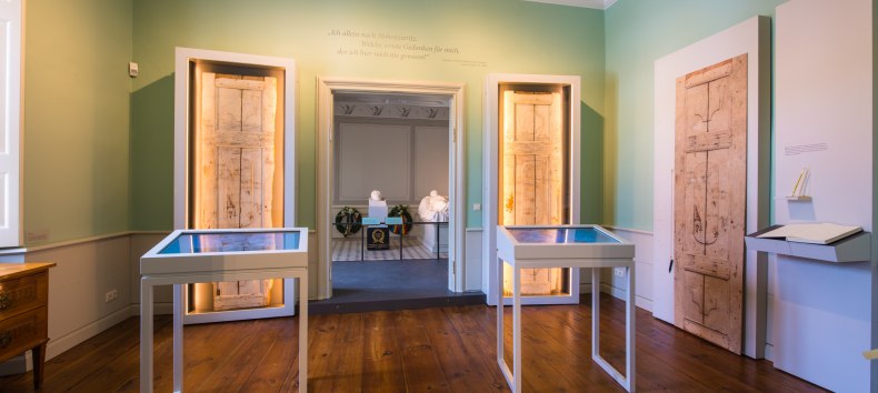 &copy; &copy;2022 Timm Allrich