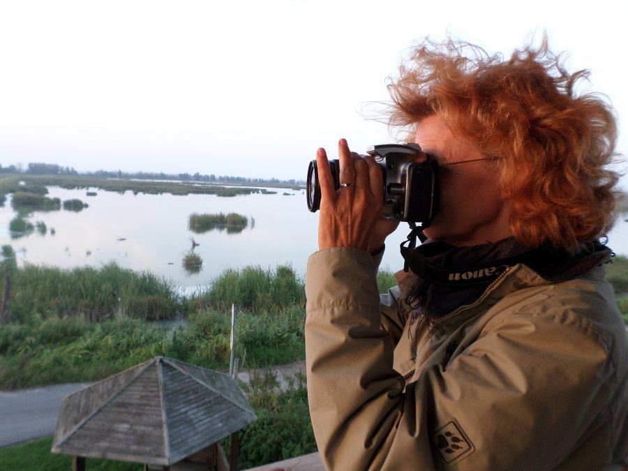 Birdwatching, © AFL Birdwatching, © AFL