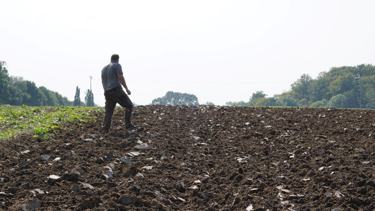 Akkerbouw als onderdeel van de circulaire economie, &copy; A. Rossnagel