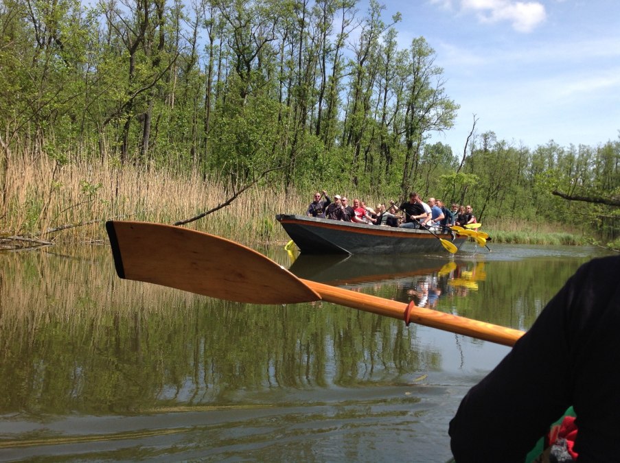 Dzungeschute - Oliver Kuse III, © Dschungelschute Dzungeschute - Oliver Kuse III, © Dschungelschute
