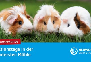 © Neuwoges © Neuwoges