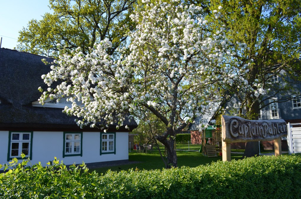 Captain Pahlen Holiday Resort, © Captain Pahlen Ferienanlage