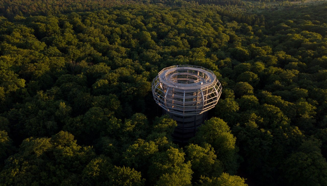 Prora - Sekrety lasu, © Binzer Bucht Tourismus Prora - Sekrety lasu, © Binzer Bucht Tourismus