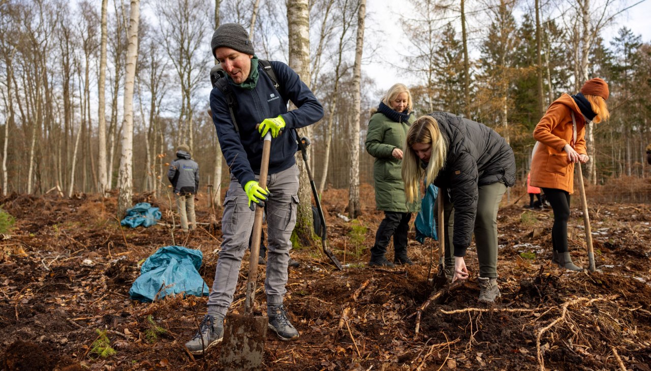 Czynić dobro, sadząc drzewa i rozmawiając z kolegami o czymś innym niż praca? Wykorzystaj kampanię sadzenia drzew jako firmę, © Rostocker Citylauf e.V. Czynić dobro, sadząc drzewa i rozmawiając z kolegami o czymś innym niż praca? Wykorzystaj kampanię sadzenia drzew jako firmę, © Rostocker Citylauf e.V.