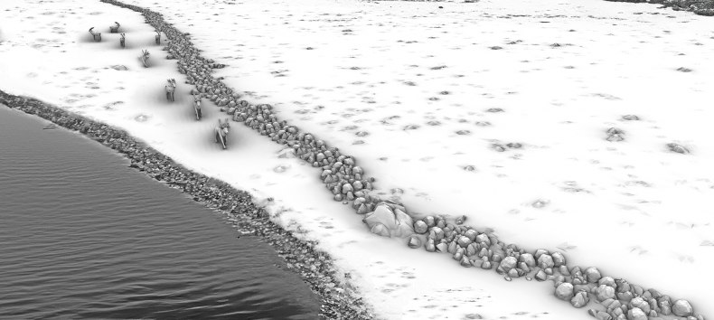 © Michał Grabowski