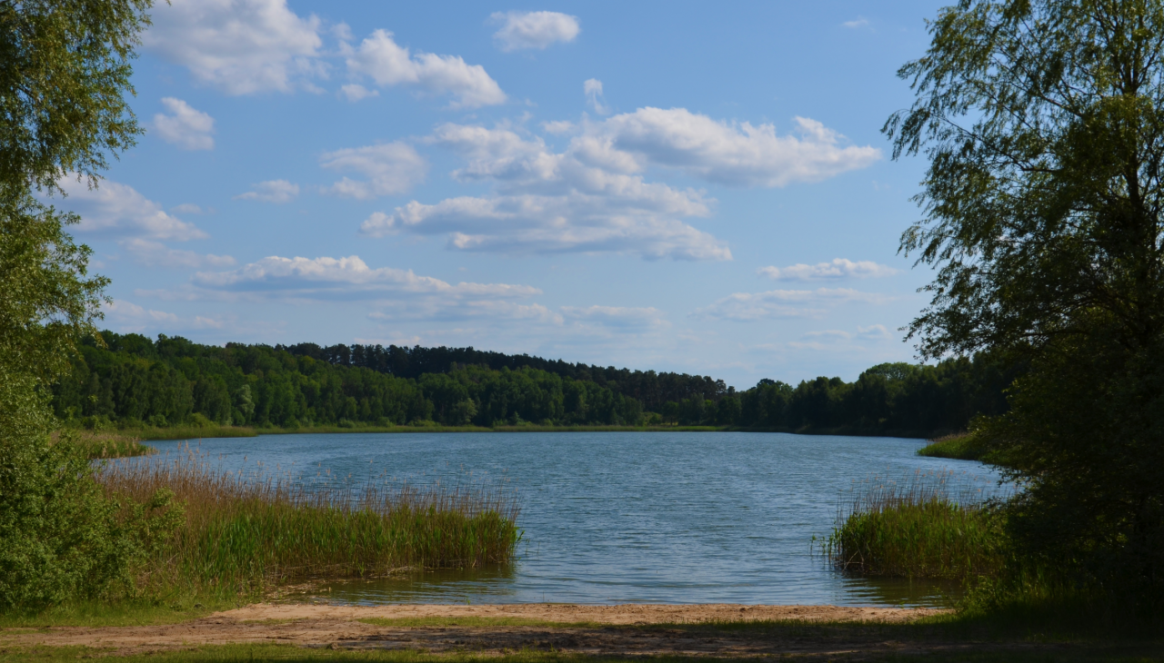 Kąpielisko na północnym brzegu jeziora Cantnitz 1, © Martin Möller