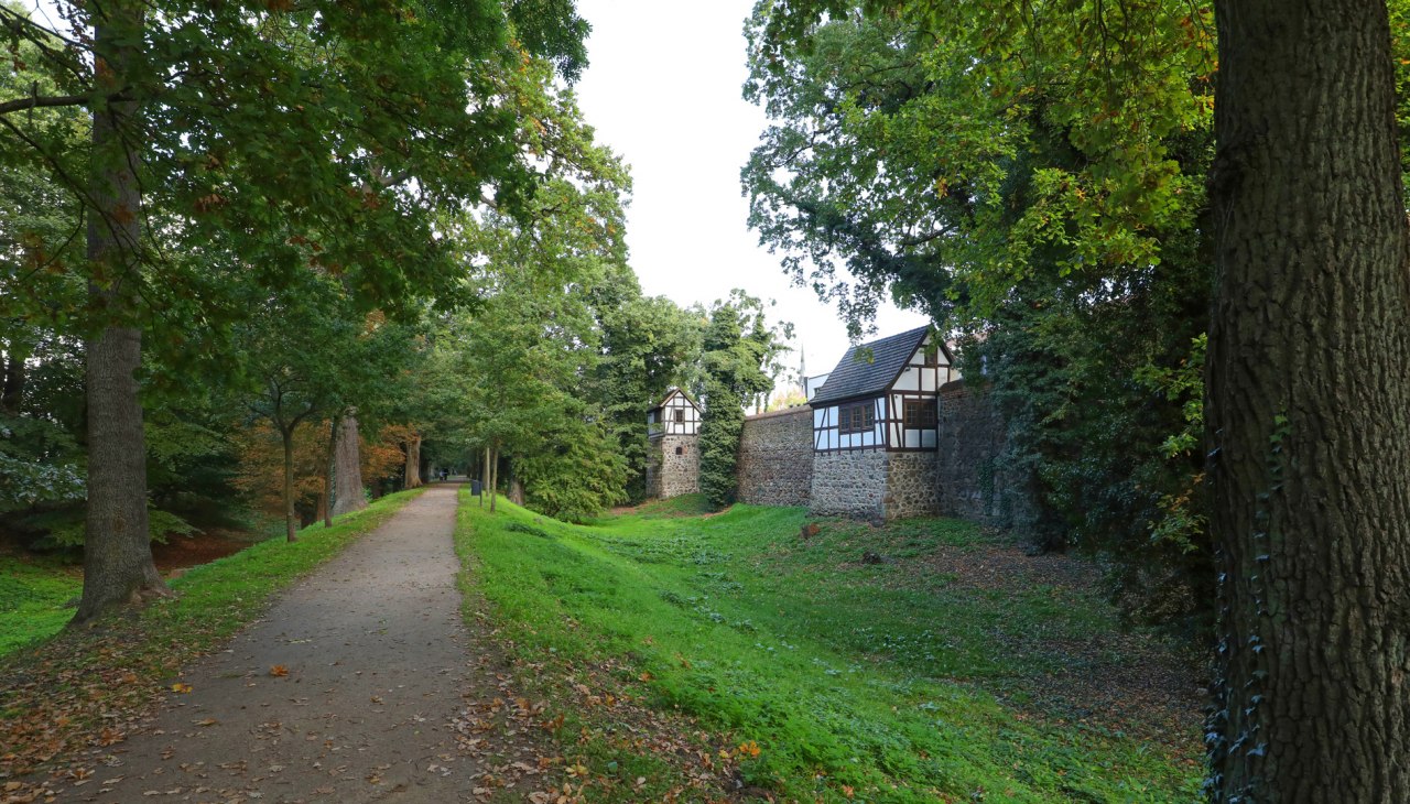 Middeleeuwse wallen en verdedigingswerken in Neubrandenburg_2, © TMV/Gohlke Middeleeuwse wallen en verdedigingswerken in Neubrandenburg_2, © TMV/Gohlke