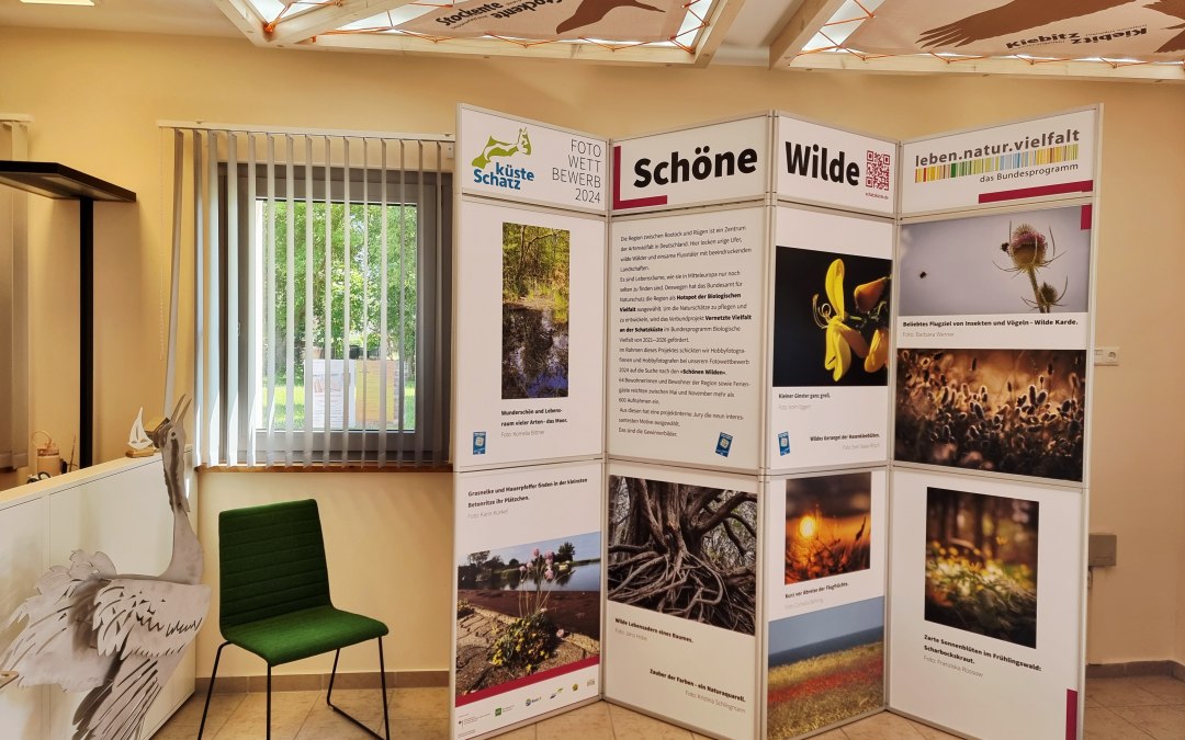 NABU traveling exhibition, © Südliche Boddenküste