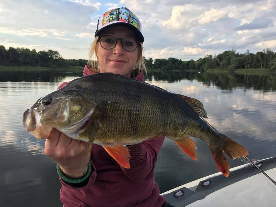 Wspaniałe okonie z odległego jeziora w Meklemburgii-Pomorzu Przednim, &copy; Sebastian Schl&ouml;tels