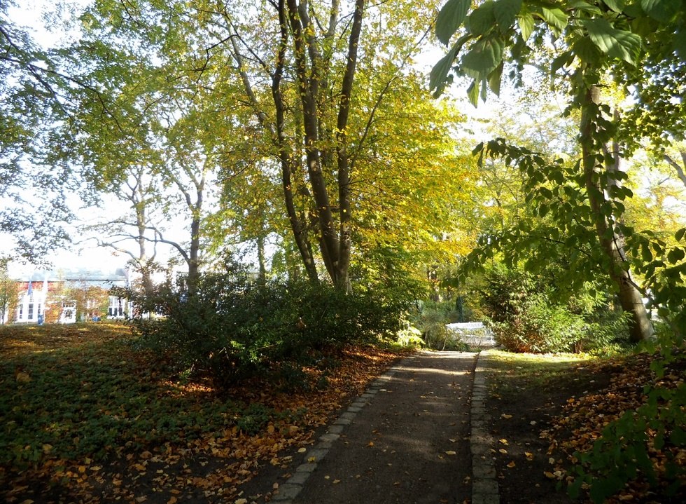 De kuurparken in de kustplaats aan de Oostzee in Binz. // &copy; Tourismuszentrale R&uuml;gen