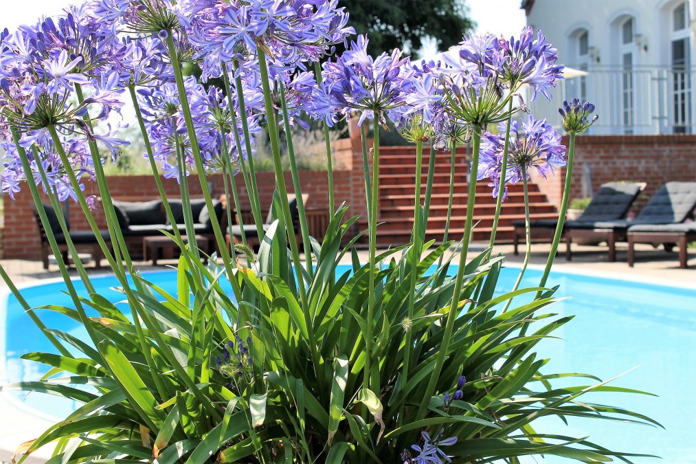 Outdoor pool, © Sabine Schwanzer Outdoor pool, © Sabine Schwanzer