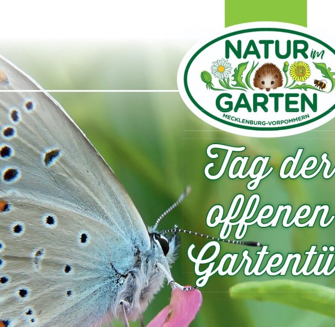 © Landschaftspflegeverband Mecklenburger Endmoräne e.V. © Landschaftspflegeverband Mecklenburger Endmoräne e.V.