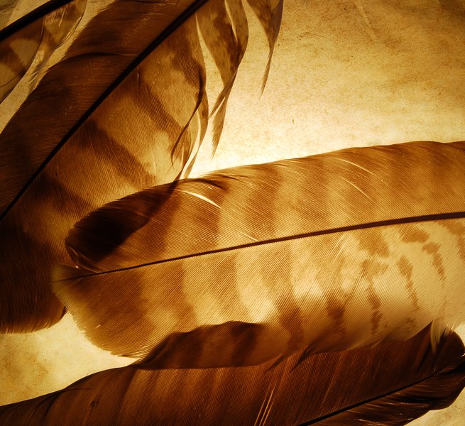 &copy; Nationalpark-Zentrum K&Ouml;NIGSSTUHL