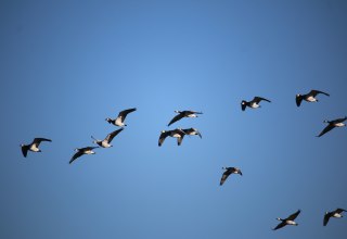 &copy; Benjamin Weigelt