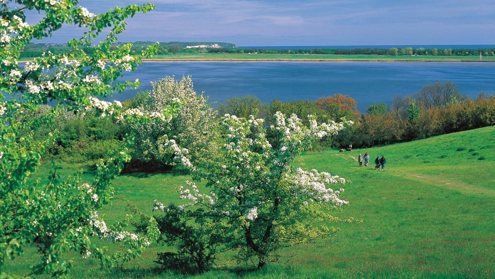The Zicker mountains on Rügen's peninsula Mönchgut offer a varied hiking area paired with views over this unique landscape, © TMV/Grundner