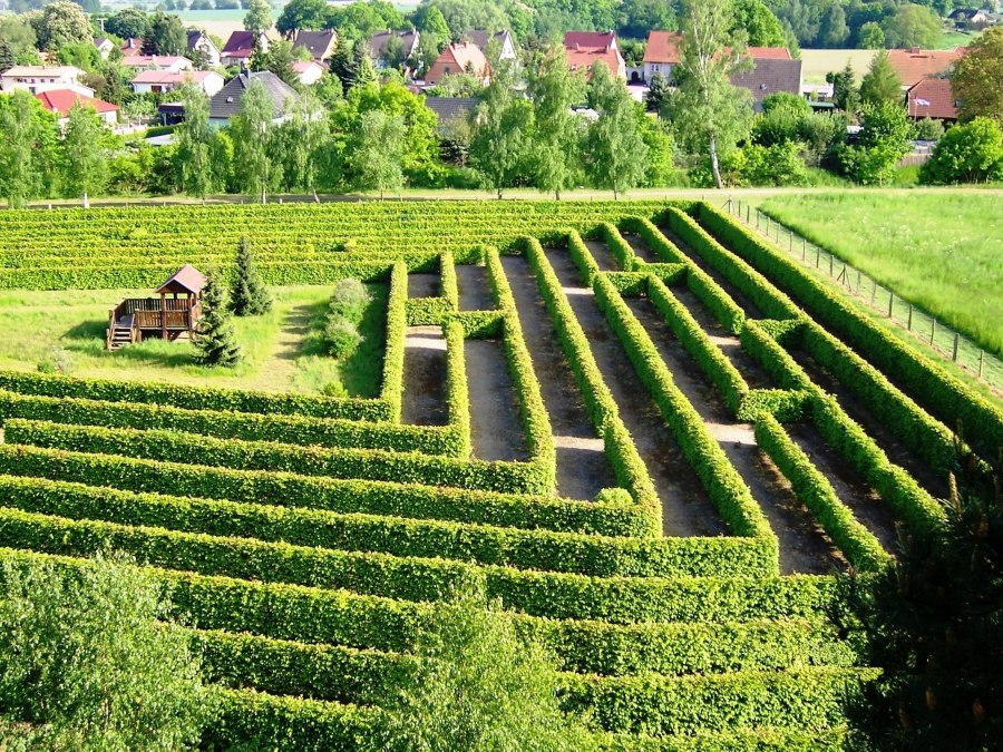 Maze at the Waldeck in Dargun, © Stadt Dargun