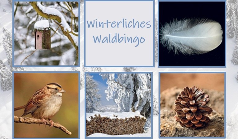 &copy; waldbingo.jpg