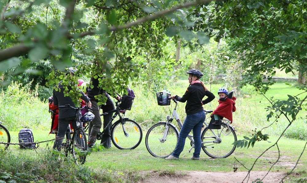 Cycling along the Müritz Cycle Route, © Reinhard Sobiech